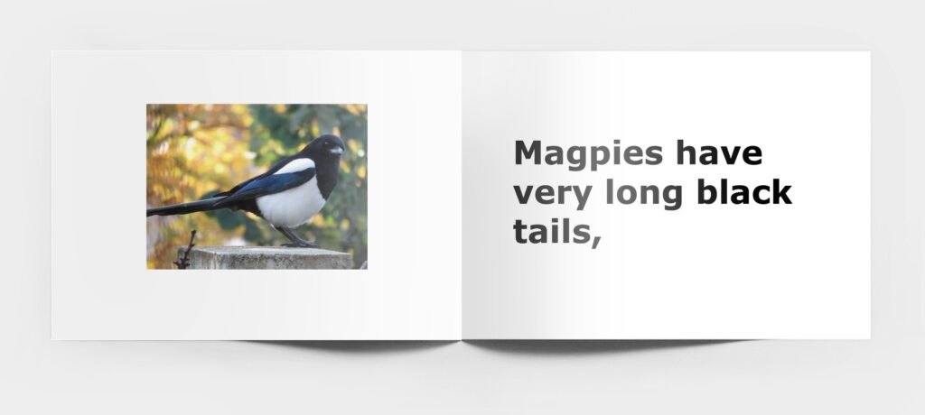 czytanie globalne ptaki