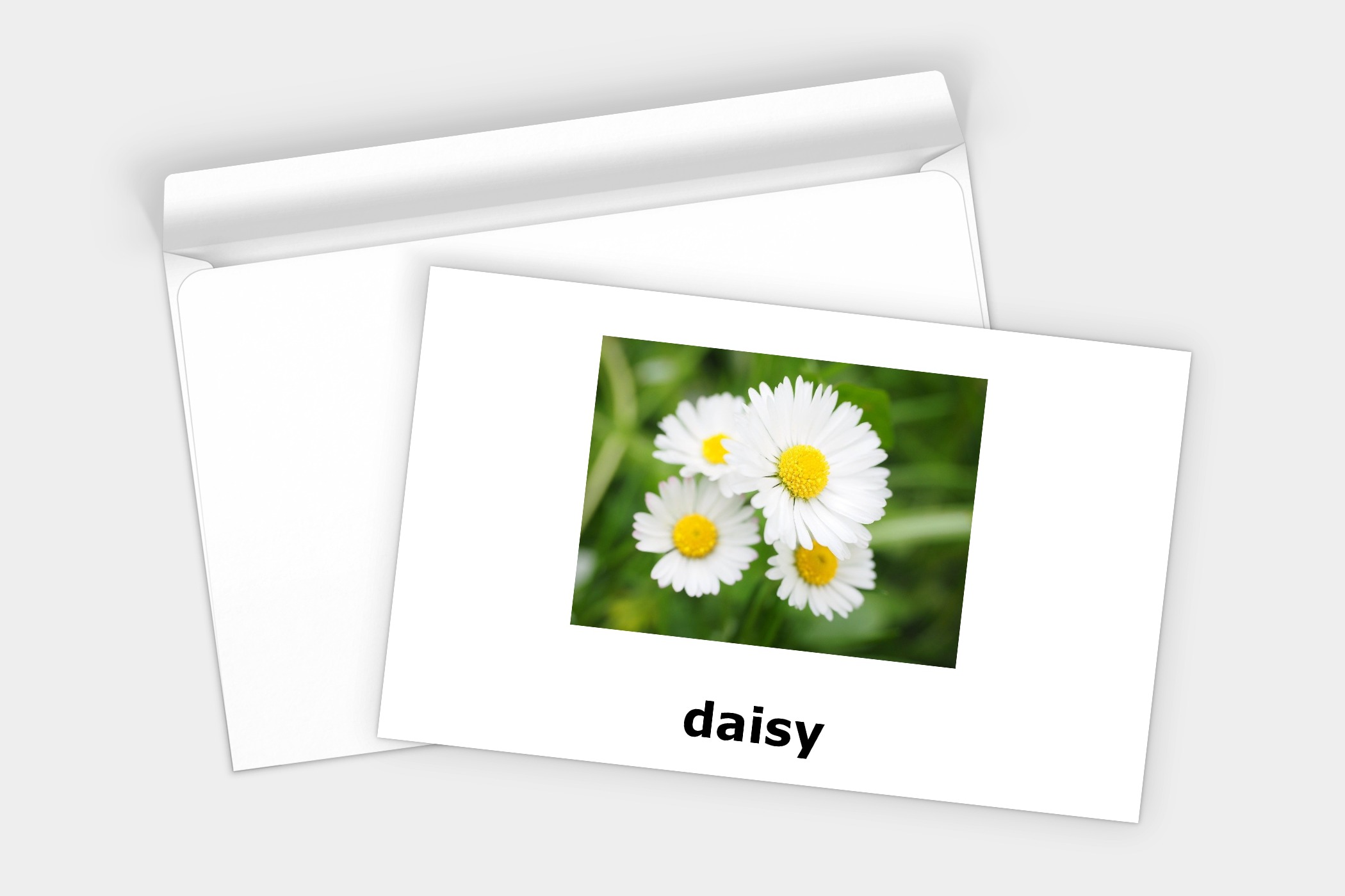 kwiaty karty montessori