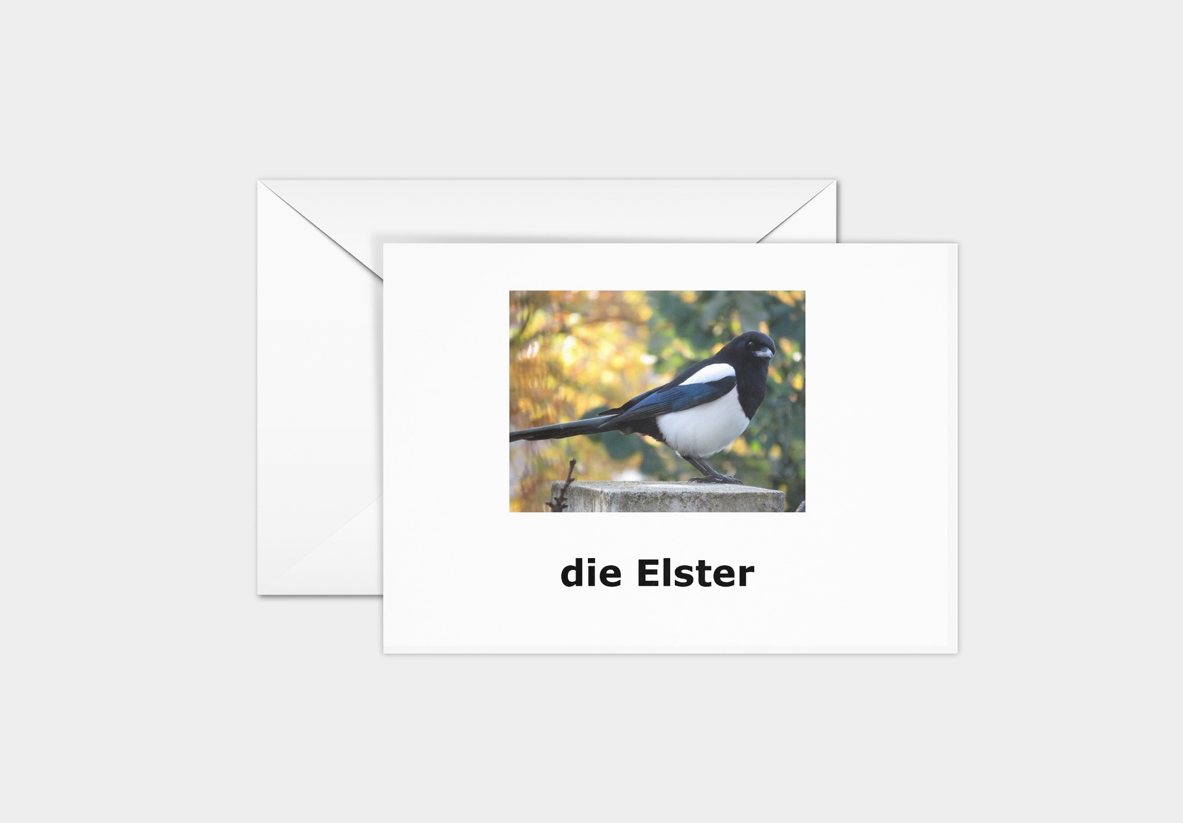ptaki niemieckie karty